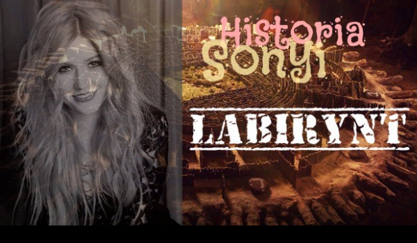 Historia Sonyi-Labirynt. #2