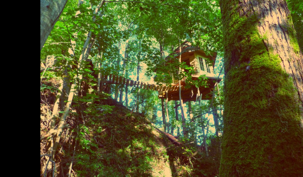 My name is Clairse, Tilly Clairse. #3