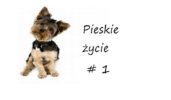 Pieskie życie #1