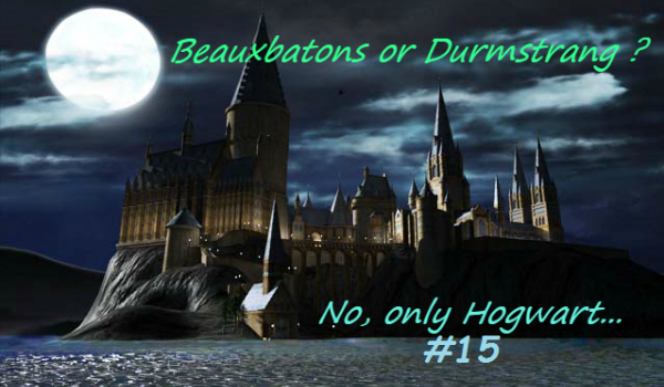 Beauxbatons or Durmstrang? No only Hogwart… #15