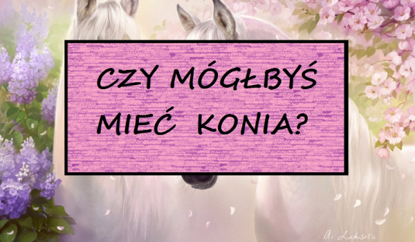 Czy mógłbyś mieć konia?