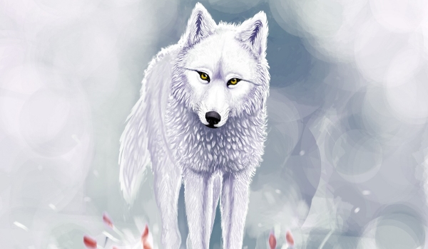Wolves – Wallpaper