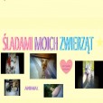 SladamiMoich_Zwierzat