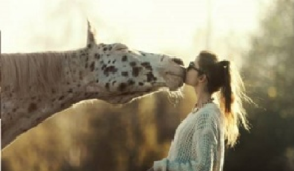 Stajenna przygoda #9