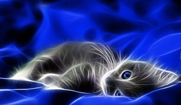 Jaka będzie twoja dziewczyna?