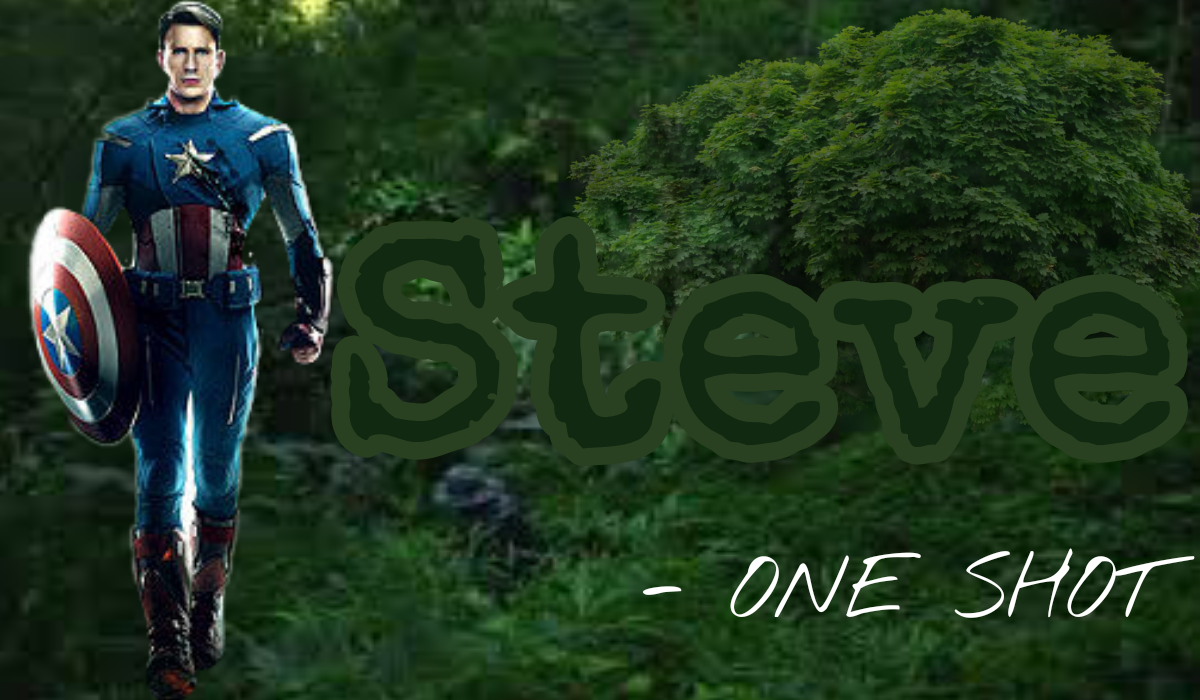 Steve – ONE SHOT