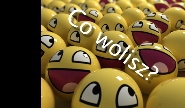 Co wolisz?