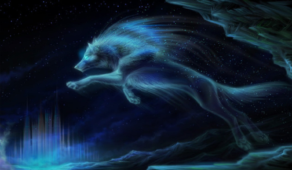 Na konkurs dla Przyrodniczka