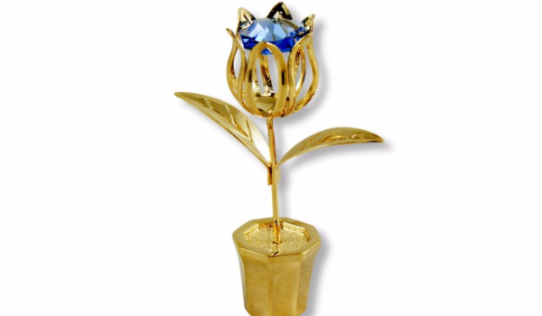 Co powinneś dostać na urodziny?