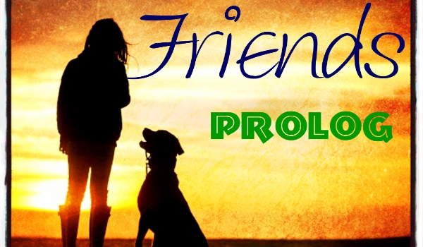 Friends PROLOG