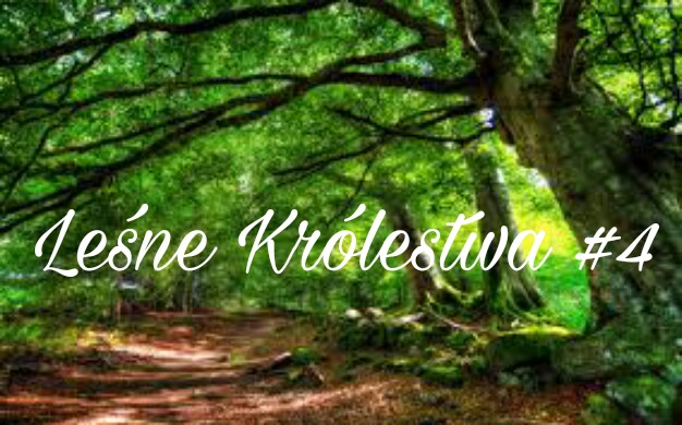 Leśne Królestwa #4