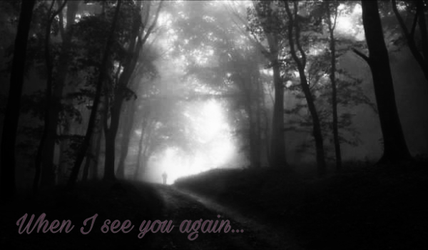 When I see you again…