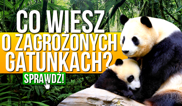 Co wiesz o zagrożonych gatunkach? Test wiedzy!