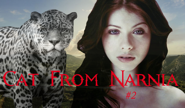Cat From Narnia #2