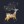 UnicornioNegro