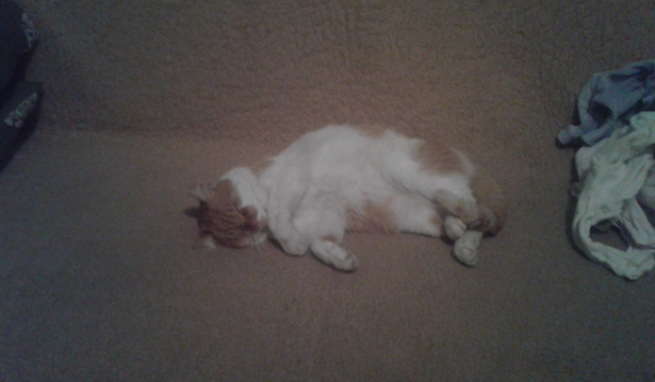 Czy jesteś dobrym rodzicem