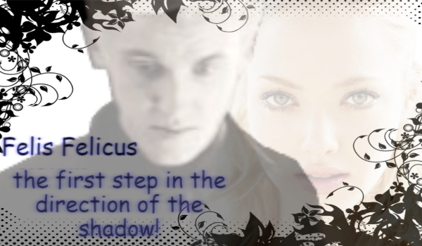 Felis Felicus .The first step in the direction of the shadow!#2