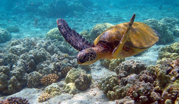 Jesteś smutna czy radosna?