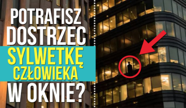 Czy potrafisz dostrzec sylwetkę w oknie?