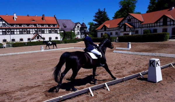 Rysunki długopisem? Czemu Nie!