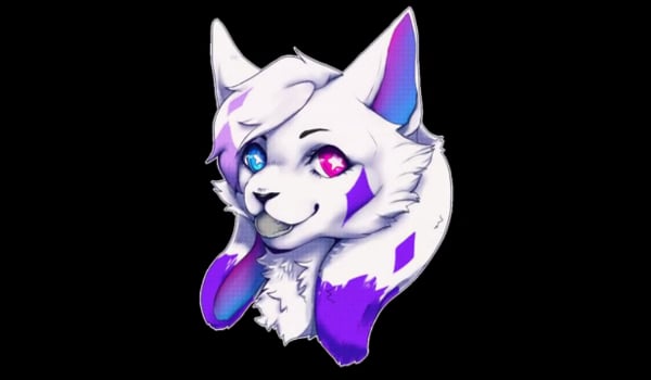 Q&A specjał na 50 obserwujących