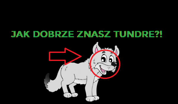 QUIZ O TUNDRZE!