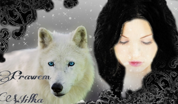 Prawem Wilka #2