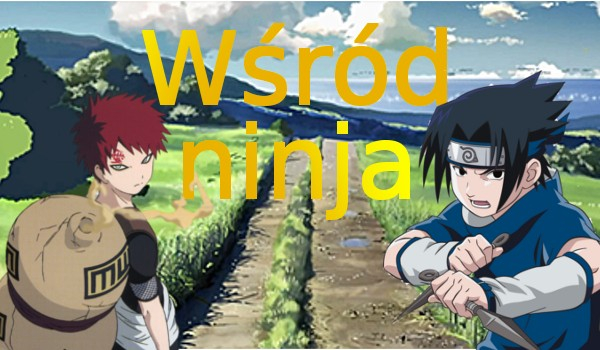 Wśród ninja #2