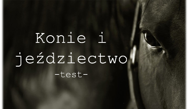 Konie i jeździectwo-test-OD POCZĄTKU DO KOŃCA
