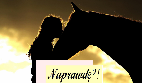 Naprawdę?!#2