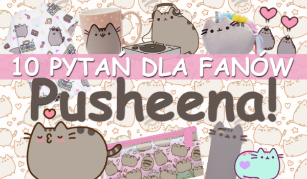 10 pytań z serii „Co wolisz?” o Pusheen!