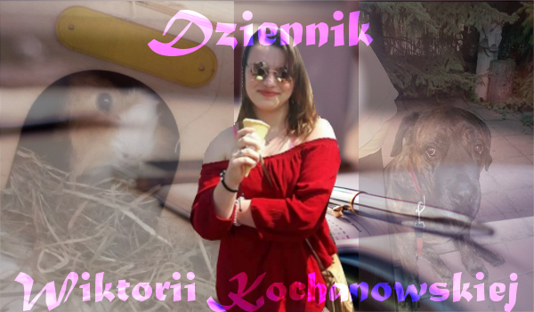 Dziennik Wiktorii Kochanowskiej