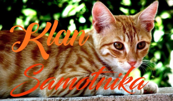 Klan Samotnika #2 Pierwsze kroki