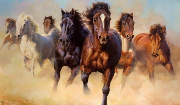 Dowcipy o zwierzętach [część 04]- Konie
