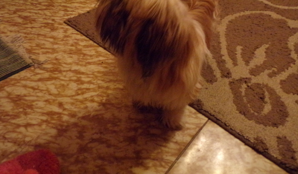 nejjemdmemmememd e i super zabawa