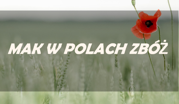 Mak w polach zbóż #2