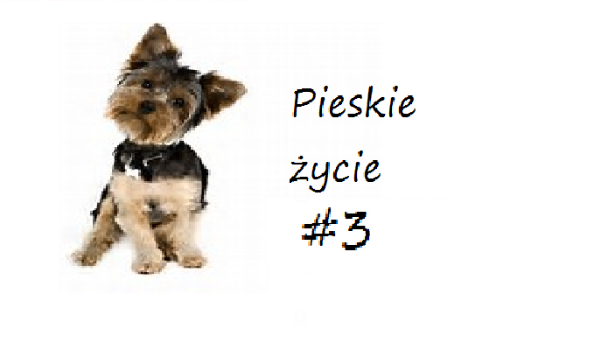 Pieskie życie #3