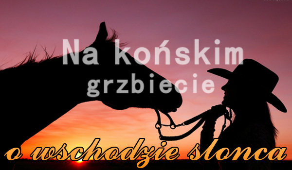 Na końskim grzbiecie o wschodzie słońca ~Rozdział 2