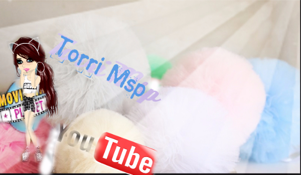 Ile wiecie o Torii Msp ?