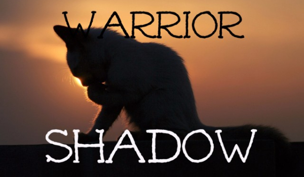 WarriorShadow #2
