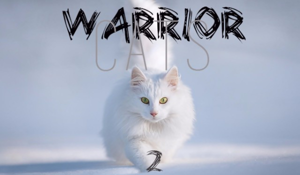 Warrior Cats-Rozdział V