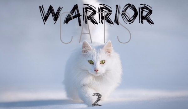 Warrior Cats-Rozdział III