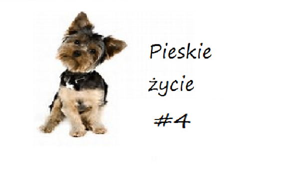 Pieskie życie #4