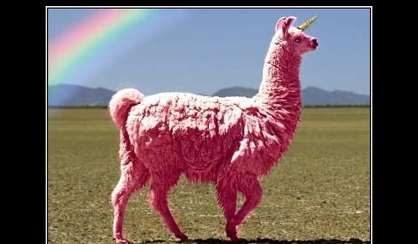 Awatar dla FoxyTheMurder