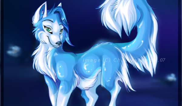 Wilk dla _Dziewczyna_Foxiego_