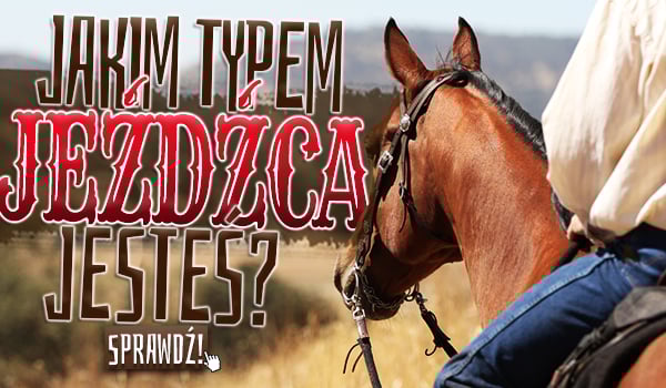 Jakim typem jeźdźca jesteś?
