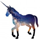 unicorn.scuad
