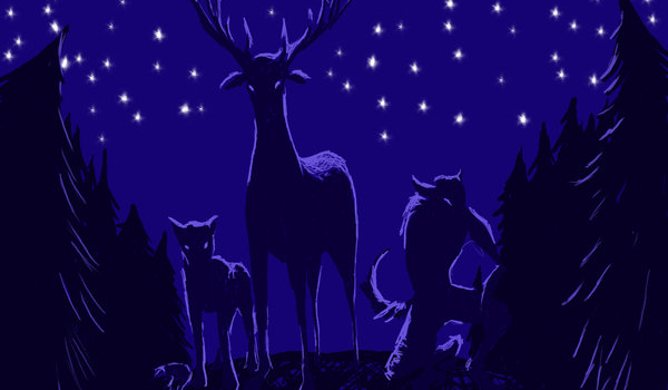 Huncwoci prezentują #12