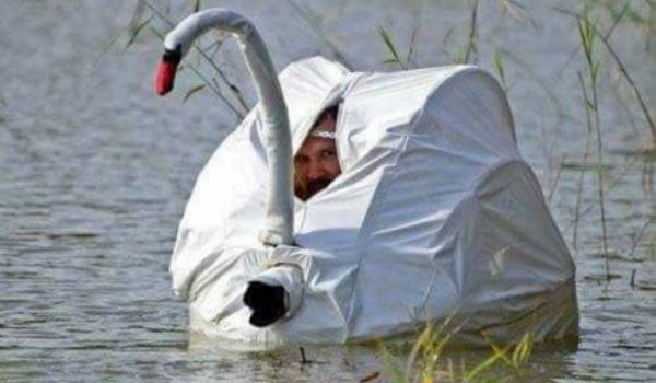 Na konkurs dla Dziewczyna_Foxiego