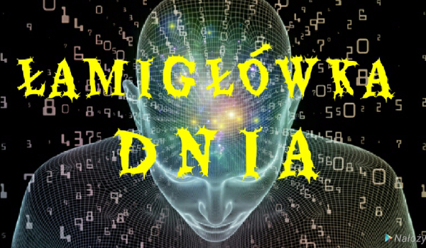 ŁAMIGŁÓWKA DNIA *23